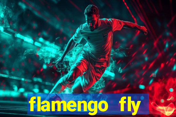 flamengo fly emirates ultimas noticias